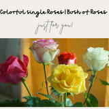 Roses [Faux Roses] - Jay's Pretty Little Things For You